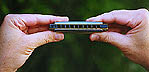 harmonica
